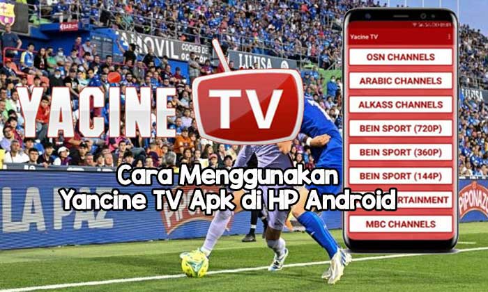 Apk Yancine TV Apk di HP Android