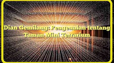 Dian Gemilang: Pengenalan tentang Taman Mini Terrarium
