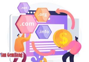domain