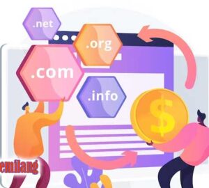 domain