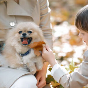 anjing yang cocok untuk anak anak