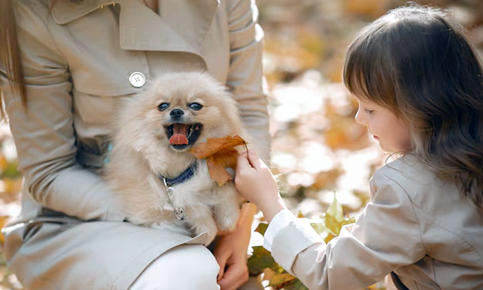 anjing yang cocok untuk anak anak