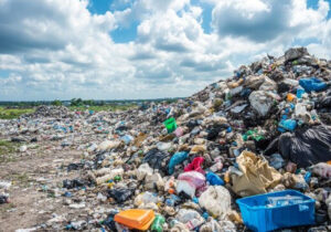 Krisis Lingkungan Global