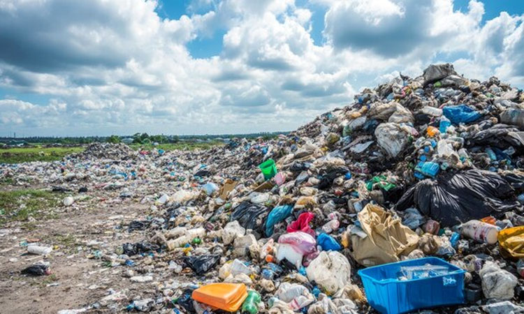 Krisis Lingkungan Global