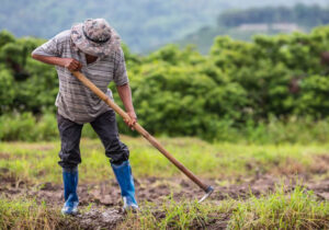 Perubahan Iklim Terhadap Petani