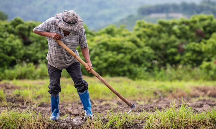 Perubahan Iklim Terhadap Petani